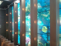 Window Film